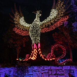 Meet your Posher, Tobi